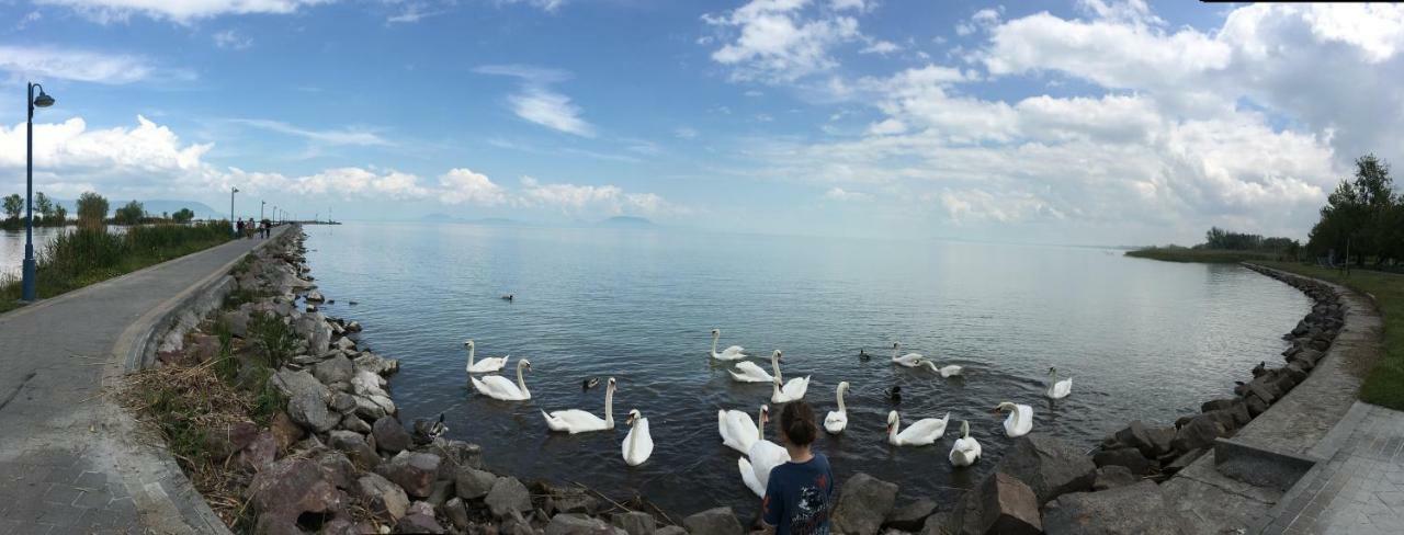 Villa Maximilian Balatonkeresztur Ngoại thất bức ảnh